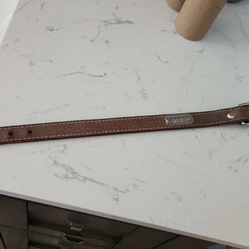 Medium-sized dog collar